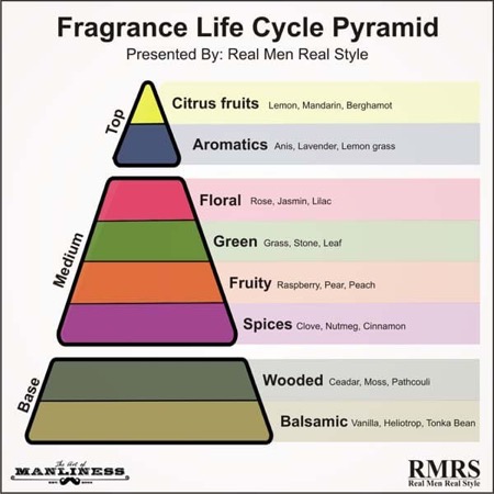 fragrance