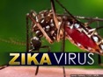 zika